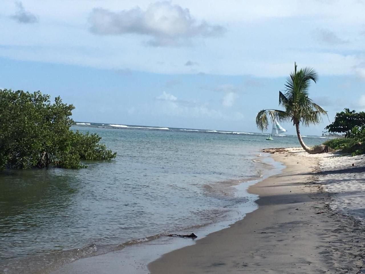 Polinesia Resort - Porto De Galinhas - Apartamentos Com Somente 1 Opcao De Terreo Com Piscina Privativa - Acesso Ao Hotel Samoa Eksteriør billede